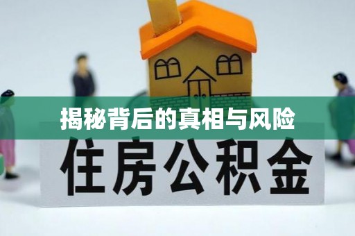 南平揭秘背后的真相与风险