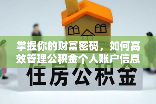 南平掌握你的财富密码，如何高效管理公积金个人账户信息