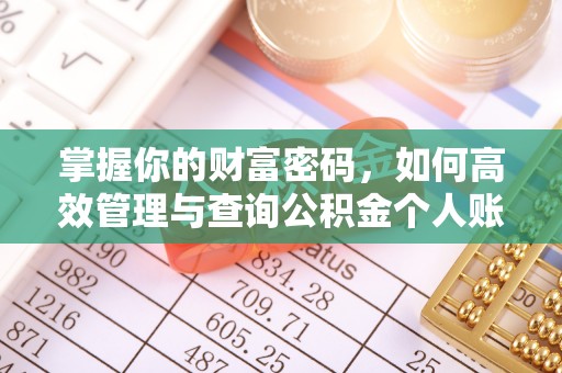 南平掌握你的财富密码，如何高效管理与查询公积金个人账户信息