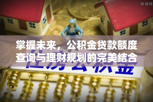 南平掌握未来，公积金贷款额度查询与理财规划的完美结合