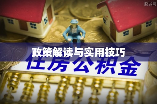 南平政策解读与实用技巧
